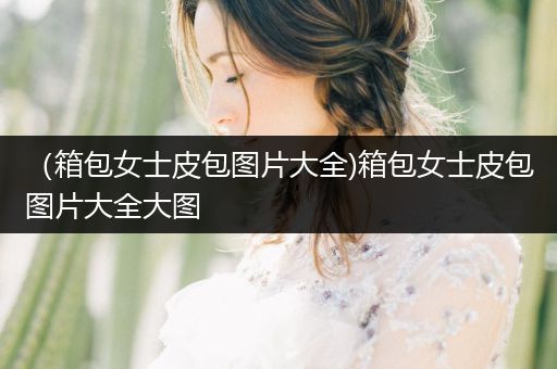 （箱包女士皮包图片大全)箱包女士皮包图片大全大图