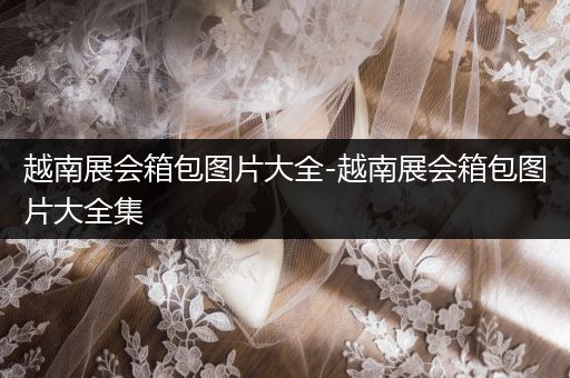 越南展会箱包图片大全-越南展会箱包图片大全集