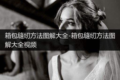 箱包缝纫方法图解大全-箱包缝纫方法图解大全视频