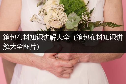 箱包布料知识讲解大全（箱包布料知识讲解大全图片）