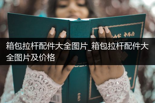 箱包拉杆配件大全图片_箱包拉杆配件大全图片及价格