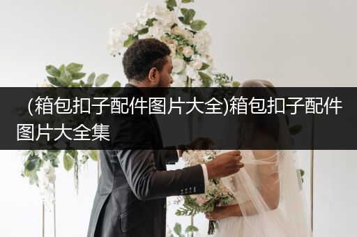 （箱包扣子配件图片大全)箱包扣子配件图片大全集