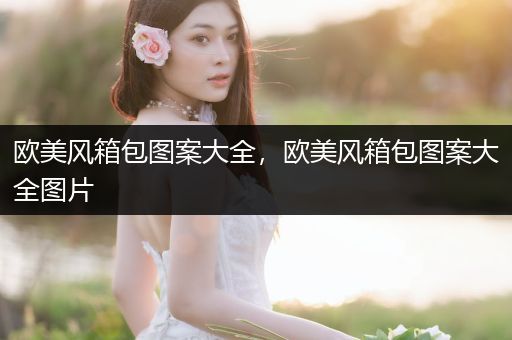 欧美风箱包图案大全，欧美风箱包图案大全图片