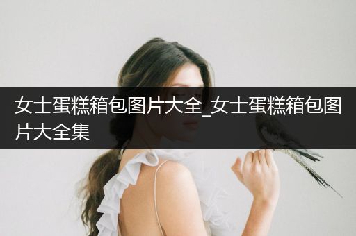 女士蛋糕箱包图片大全_女士蛋糕箱包图片大全集