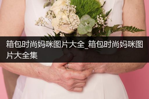 箱包时尚妈咪图片大全_箱包时尚妈咪图片大全集