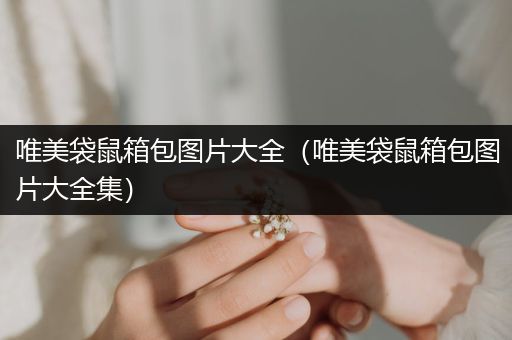 唯美袋鼠箱包图片大全（唯美袋鼠箱包图片大全集）