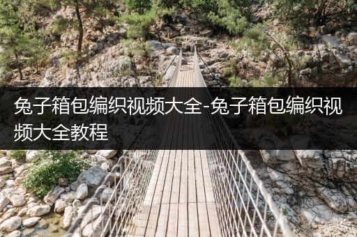 兔子箱包编织视频大全-兔子箱包编织视频大全教程