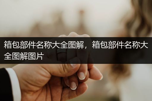 箱包部件名称大全图解，箱包部件名称大全图解图片