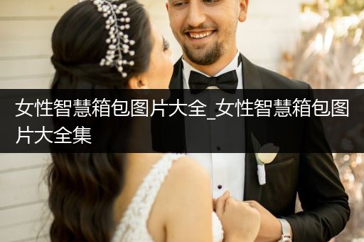 女性智慧箱包图片大全_女性智慧箱包图片大全集