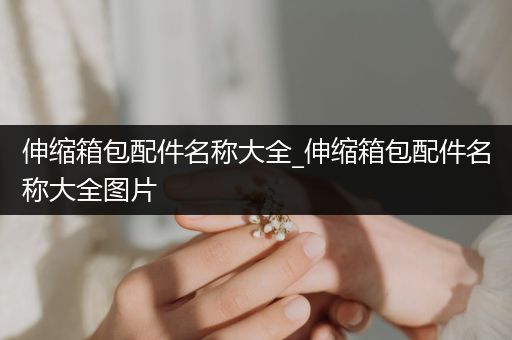 伸缩箱包配件名称大全_伸缩箱包配件名称大全图片