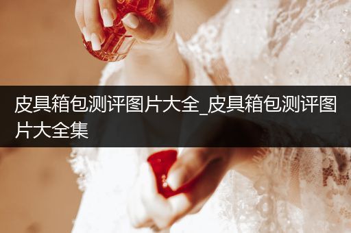 皮具箱包测评图片大全_皮具箱包测评图片大全集