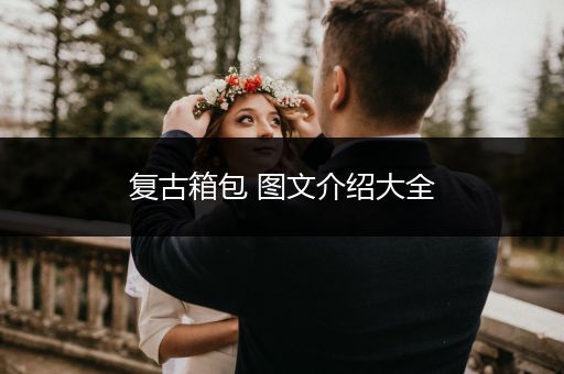 复古箱包 图文介绍大全