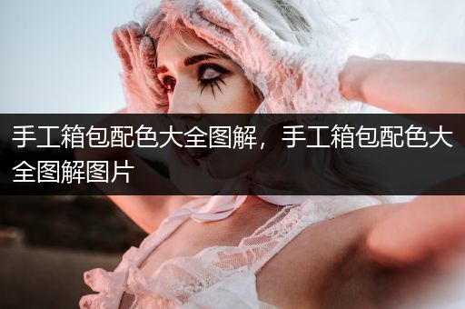 手工箱包配色大全图解，手工箱包配色大全图解图片