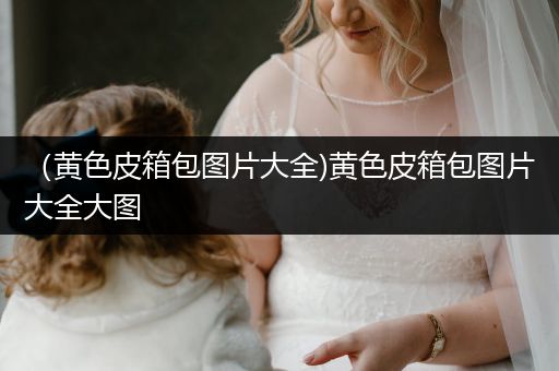 （黄色皮箱包图片大全)黄色皮箱包图片大全大图