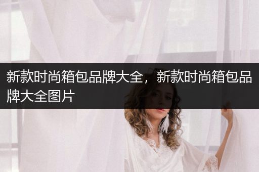 新款时尚箱包品牌大全，新款时尚箱包品牌大全图片