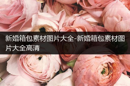 新婚箱包素材图片大全-新婚箱包素材图片大全高清