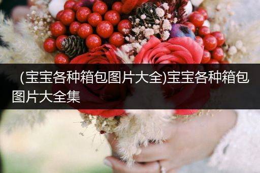 （宝宝各种箱包图片大全)宝宝各种箱包图片大全集