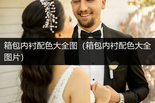 箱包内衬配色大全图（箱包内衬配色大全图片）