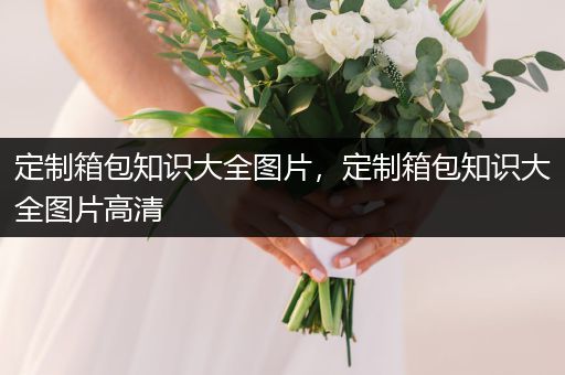 定制箱包知识大全图片，定制箱包知识大全图片高清