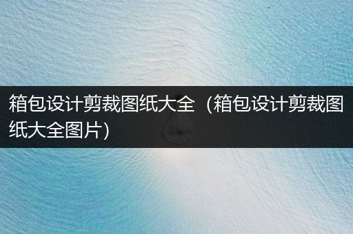 箱包设计剪裁图纸大全（箱包设计剪裁图纸大全图片）