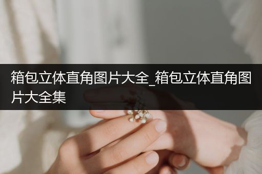 箱包立体直角图片大全_箱包立体直角图片大全集