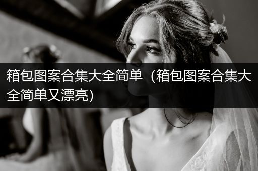 箱包图案合集大全简单（箱包图案合集大全简单又漂亮）