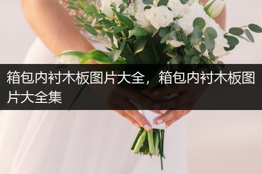 箱包内衬木板图片大全，箱包内衬木板图片大全集