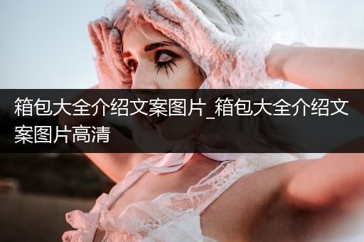 箱包大全介绍文案图片_箱包大全介绍文案图片高清