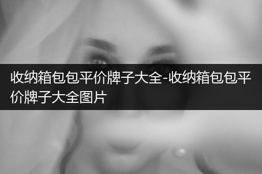 收纳箱包包平价牌子大全-收纳箱包包平价牌子大全图片